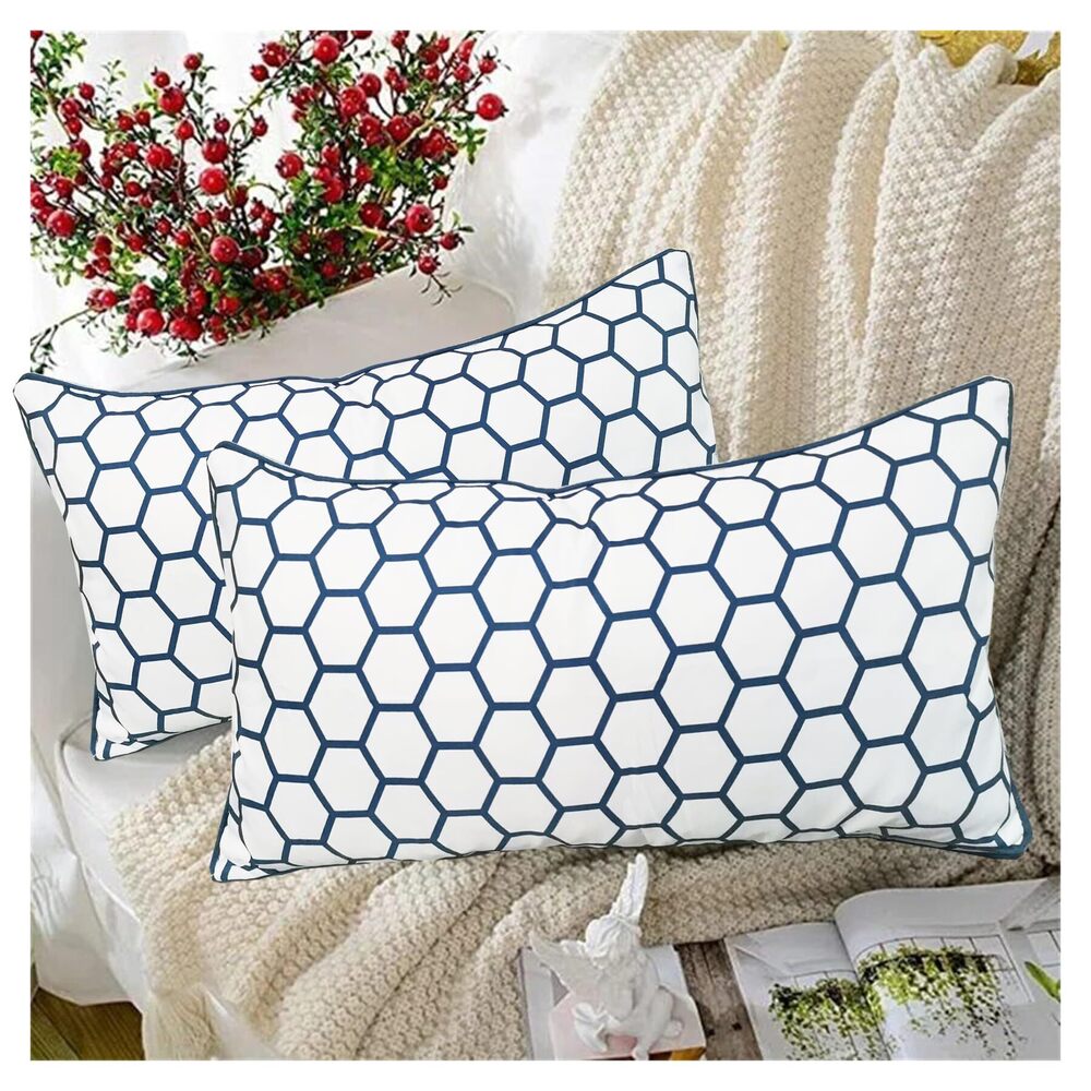 8935 2PCS Pack Throw Pillow Covers Decorative Couch Pillowcases Accent